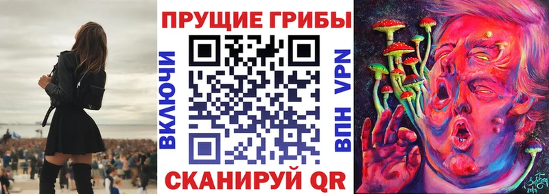Псилоцибиновые грибы мицелий  KRAKEN ссылки  Истра 
